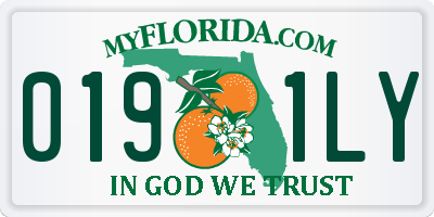 FL license plate 0191LY