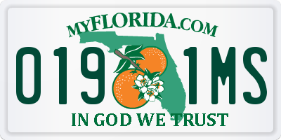 FL license plate 0191MS