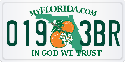 FL license plate 0193BR