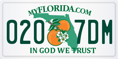 FL license plate 0207DM
