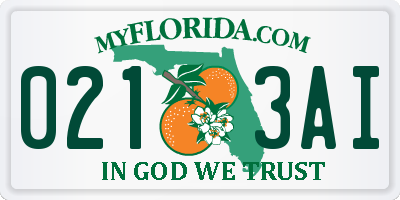 FL license plate 0213AI