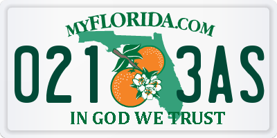 FL license plate 0213AS
