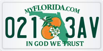 FL license plate 0213AV