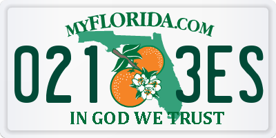 FL license plate 0213ES