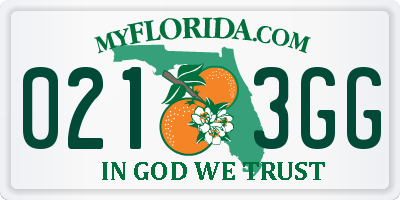 FL license plate 0213GG