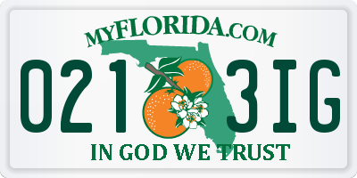 FL license plate 0213IG