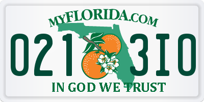 FL license plate 0213IO