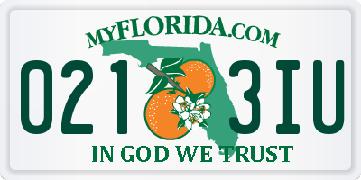 FL license plate 0213IU
