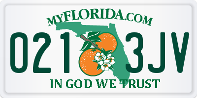 FL license plate 0213JV