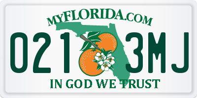 FL license plate 0213MJ