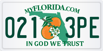 FL license plate 0213PE