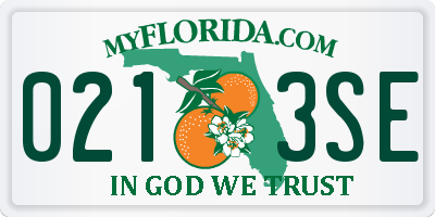 FL license plate 0213SE