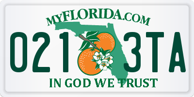 FL license plate 0213TA