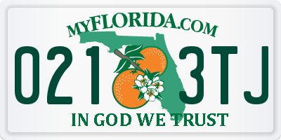 FL license plate 0213TJ