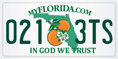 FL license plate 0213TS