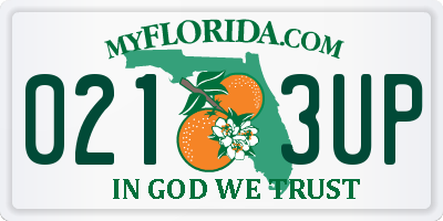 FL license plate 0213UP