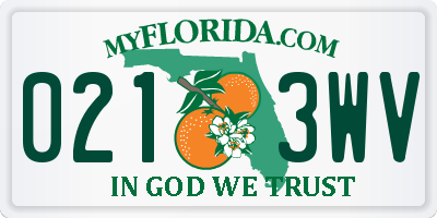 FL license plate 0213WV