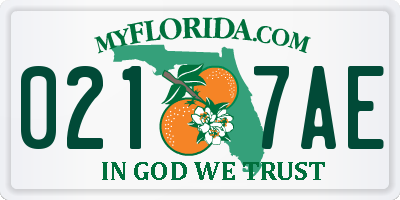 FL license plate 0217AE