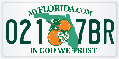 FL license plate 0217BR