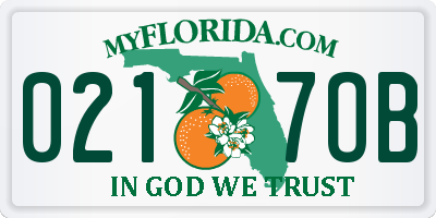 FL license plate 0217OB