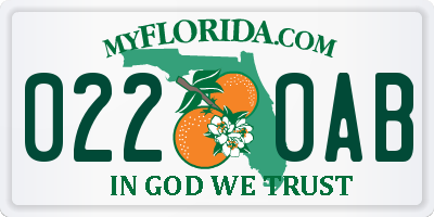 FL license plate 0220AB