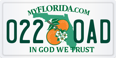 FL license plate 0220AD