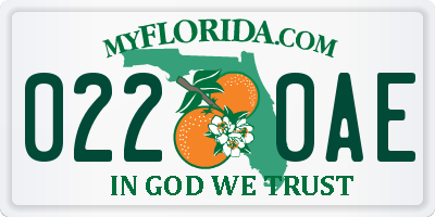 FL license plate 0220AE