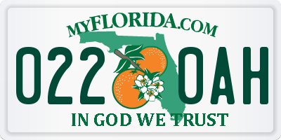 FL license plate 0220AH