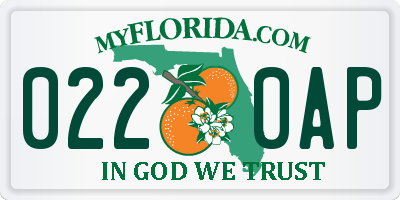 FL license plate 0220AP