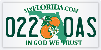 FL license plate 0220AS