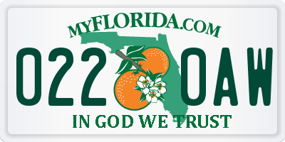 FL license plate 0220AW