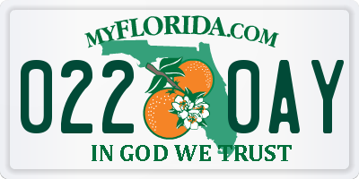 FL license plate 0220AY