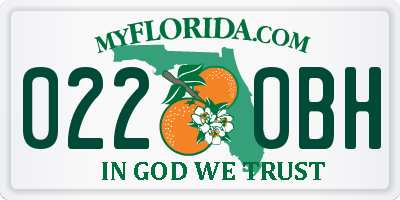 FL license plate 0220BH