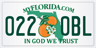 FL license plate 0220BL