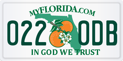 FL license plate 0220DB