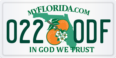 FL license plate 0220DF