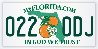 FL license plate 0220DJ