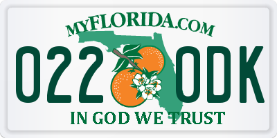 FL license plate 0220DK