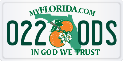 FL license plate 0220DS