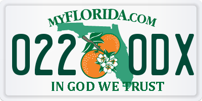 FL license plate 0220DX