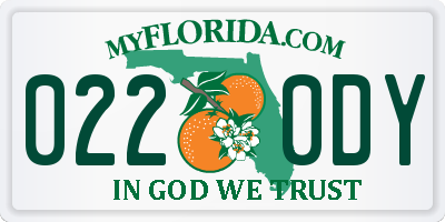 FL license plate 0220DY