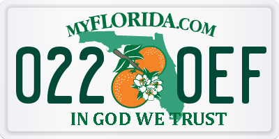 FL license plate 0220EF