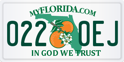 FL license plate 0220EJ