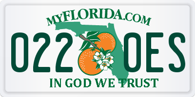 FL license plate 0220ES
