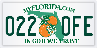 FL license plate 0220FE