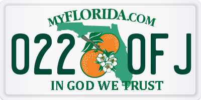 FL license plate 0220FJ