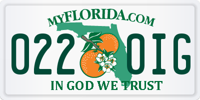 FL license plate 0220IG