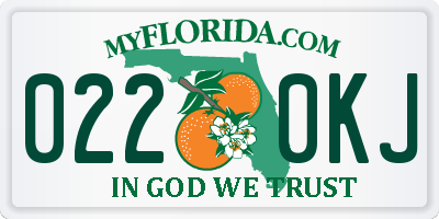 FL license plate 0220KJ