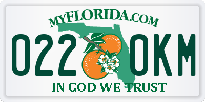 FL license plate 0220KM