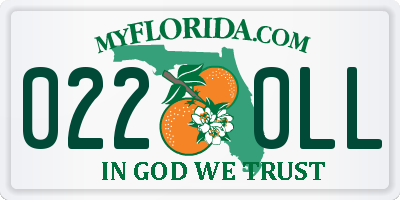 FL license plate 0220LL